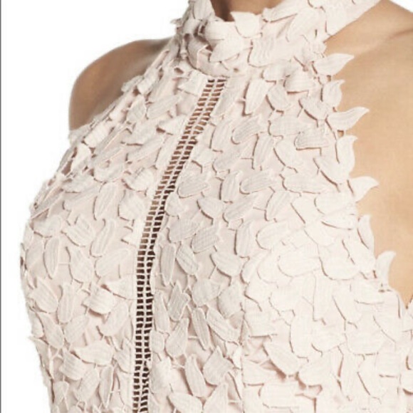 Bardot Halter Light Pink Lace Midi Dress - Picture 7 of 10